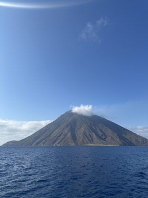 IMG_0558